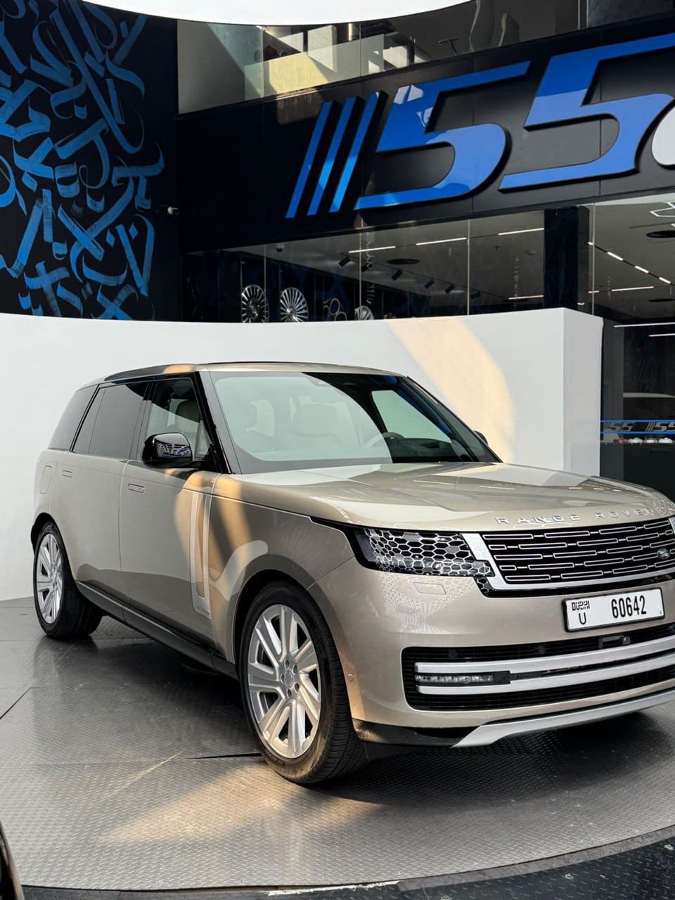Range Rover view 5