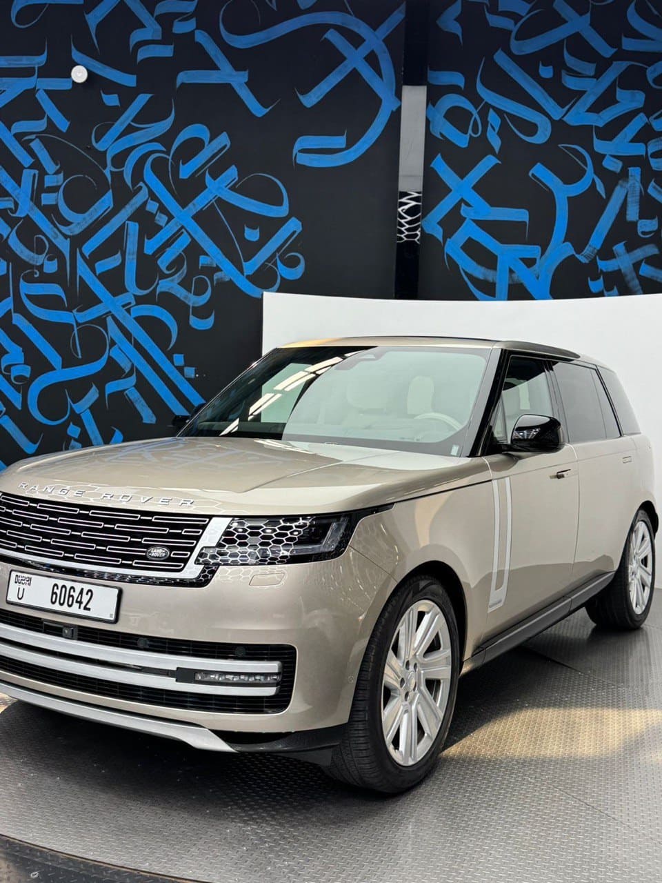 Range Rover view 11