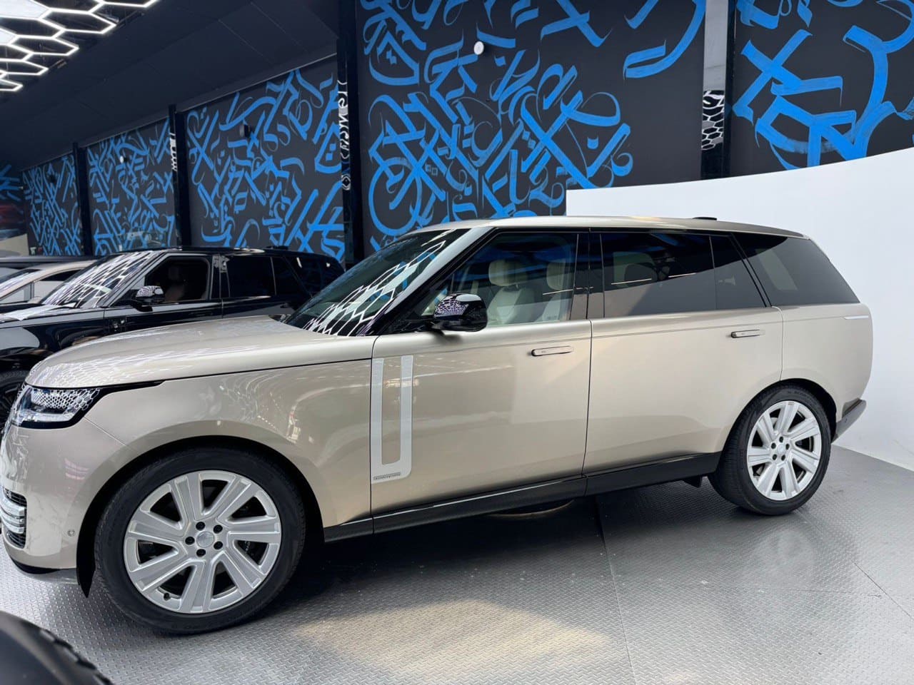 Range Rover view 8