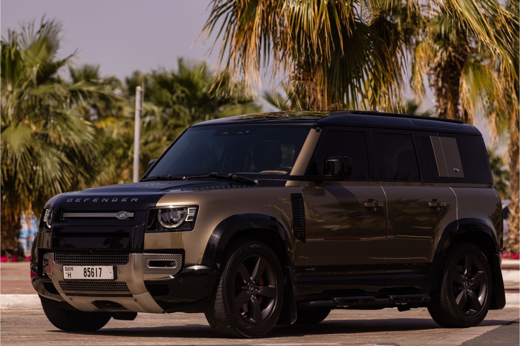 Land Rover Defender view 3
