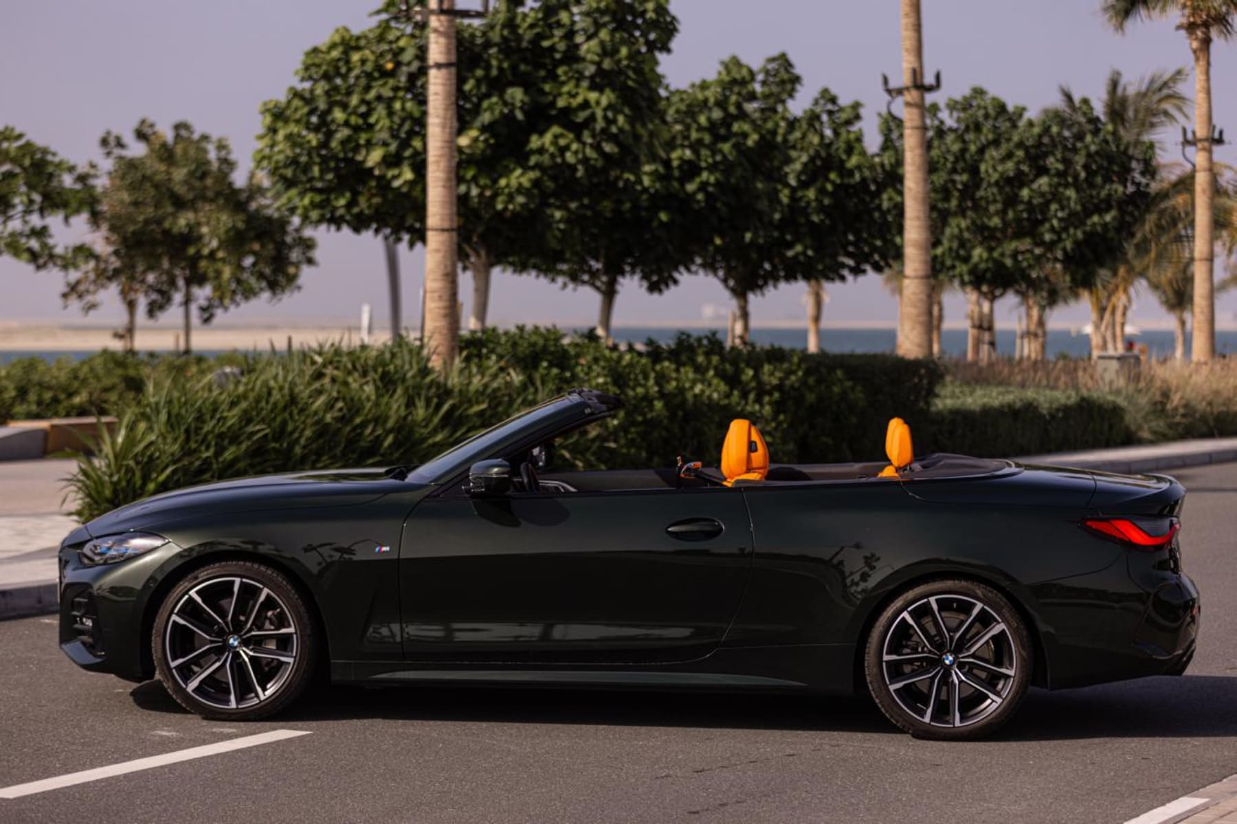 BMW 4 Series Convertible view 11